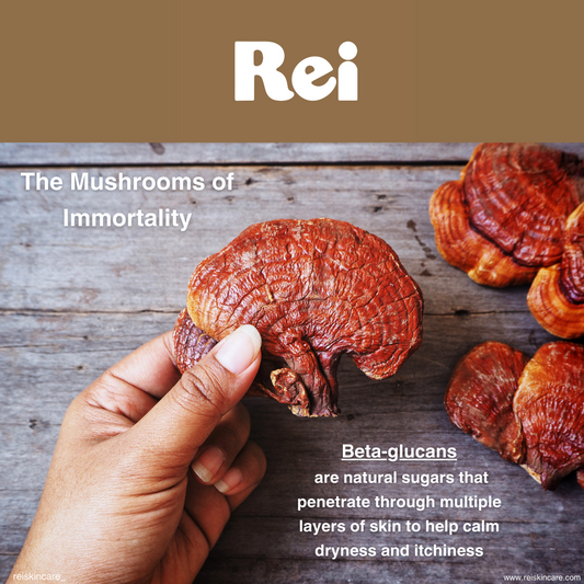 The Power of Ayurveda: Understanding Rei Skincare's Reishi Mushroom and Ashwagandha Ingredients