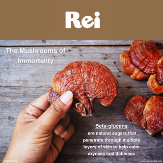 The Power of Ayurveda: Understanding Rei Skincare's Reishi Mushroom and Ashwagandha Ingredients